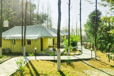 Resorts in Dharamshala-Dharamshala Best Hotels and Resorts