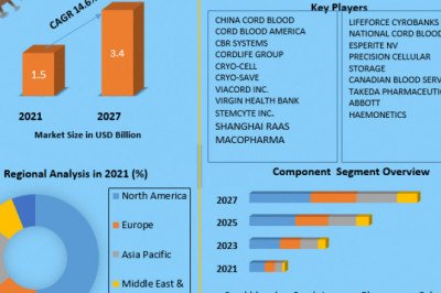 Cord Blood Banking Services Market Development, Key Opportunities and Analysis of Key Players to 2029