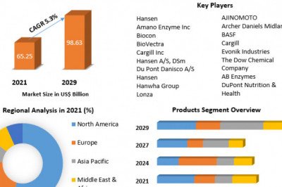 Fermentation Chemicals Market By Top Players, Regions, Trends, Opportunity And Forecast 2029