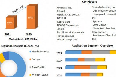 Caprolactam Market Size, Analysis, Growth, Opportunity & Forecast Report 2029