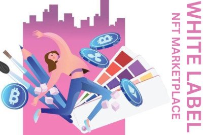 What are the Benefits of Using a White Label NFT Marketplace Development Service?
