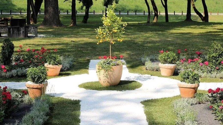Weed Removal Service Requirements Across Melbourne