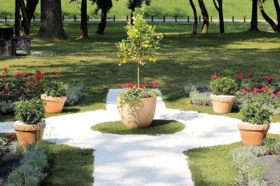 Weed Removal Service Requirements Across Melbourne