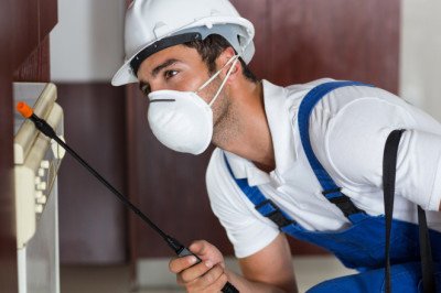 Why Does Your Home Need Annual Termite Inspection?