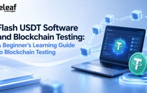 Flash USDT Software and Blockchain Testing: A Beginner’s Learning Guide