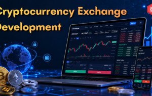How Does Custom Cryptocurrency Exchange Development Benefit Businesses?