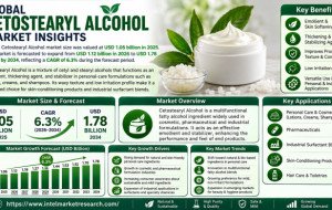 Cetostearyl Alcohol market size was valued at USD 1.05 billion in 2025.