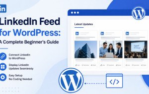 LinkedIn Feed for WordPress: A Complete Beginner's Guide
