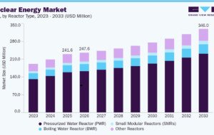 Nuclear Energy Market Analysis of Nuclear Power Modernization and Expansion