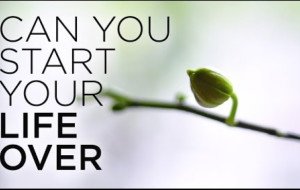 Starting Over in Life: A Guide to Healing After Divorce for Women