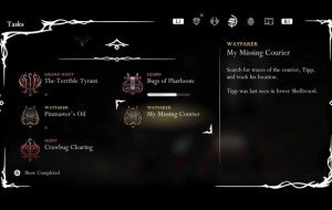 My Missing Courier Wish: Finding Tipp in Hollow Knight Silksong