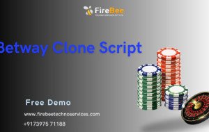 Building Reliable Bet Processing Workflows with a Betway Clone Script