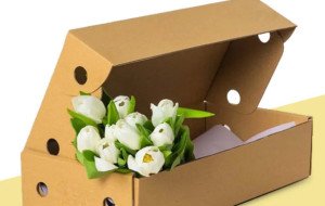 What Makes Custom Booklet Boxes Different From Traditional Packaging?