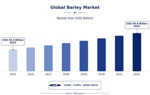 Global Barley Market: Demand and Industry Transformation