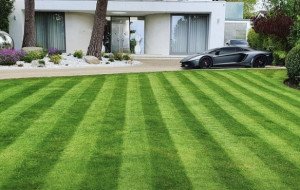 Master Gardens Ltd: Landscape Gardeners London for Garden Transformation
