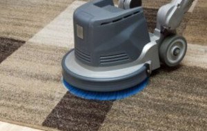The Ongoing Advantages of Carpet Cleaning Services in Residential Properties