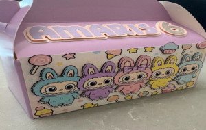 Organize Your Collection With Custom Labubu Boxes Today