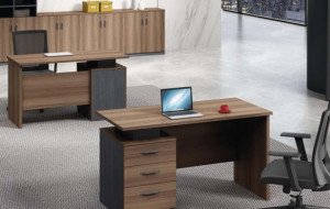 Office Furniture Ideas for a Well-Organized Modern Workplace