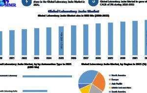 Glazed Tiles Market Poised for Growth Amid Rising Home Renovation Activities