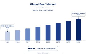 Global Beef Market: Supply Dynamics and Future Scope