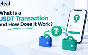 What Is a USDT Transaction and How Does It Work?
