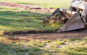 Brush Clearing Services Reveal What's Really There