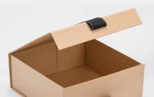 Kraft Luxury Magnet Boxes Wholesale