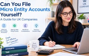 Micro Entity Accounts Checklist for Small UK Companies