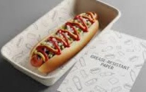 Custom Paper Food Trays A Practical Packaging Solution for Modern Food Businesses