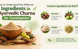 How to Understand the Different Ingredients in Ayurvedic Churna for Constipation