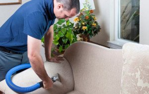 Why Your Couch Still Smells After You Cleaned It and How to Fix It