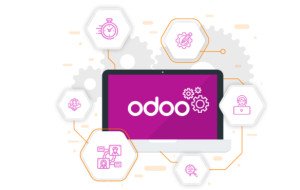 In-House Team vs Hiring an Odoo Development Company: Pros and Cons