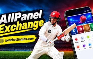 AllPanelExchange – Online Betting ID and Cricket Betting Guide