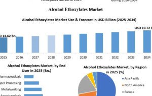 Global Alcohol Ethoxylates Market: Industry Dynamics and Competitive Landscape
