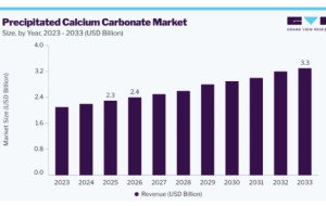 Precipitated Calcium Carbonate Market: Key Factors Influencing Future Demand