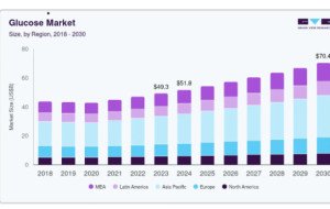 Glucose Market: Balancing Functional Benefits and Sugar Concerns