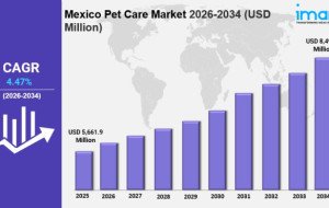 Mexico Pet Care Market Size, Share &amp; Growth Report 2034