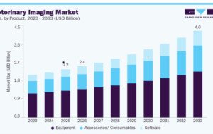Veterinary Imaging Market: How AI Is Improving Diagnostic Workflows