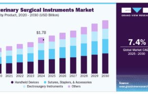 Veterinary Surgical Instruments Market Competitive Landscape and Key Companies