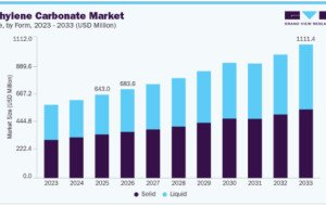 Ethylene Carbonate Market Insights Into Pharmaceutical and Chemical Uses