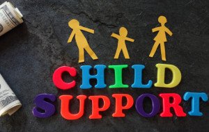 Navigating Child Support Guidelines and Financial Obligations