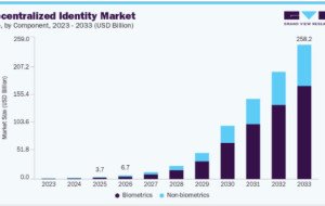 Decentralized Identity Market Competitive Strategies of Leading Companies