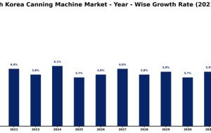 Can Flexible Production Lines Give the South Korea Canning Machine Market a Competitive Edge? Blogs  Other