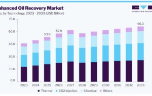 Enhanced Oil Recovery Market Advances in Reservoir Characterization