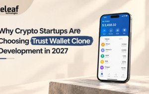 Why Crypto Startups Are Choosing Trust Wallet Clone Development in 2027