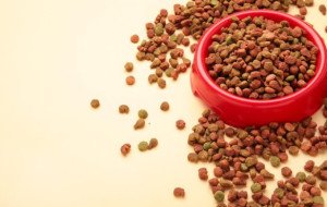 Europe Pet Food Industry: Premium Nutrition and Pet Humanization Drive Industry Growth