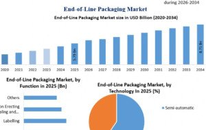 End-of-Line Packaging Market Size, Share, and Industry Outlook Through 2034