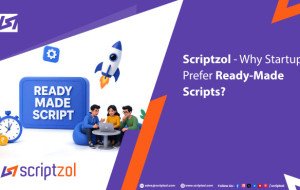 Why Startups Prefer Ready Made Scripts - Scriptzol