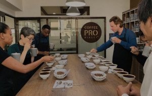 Adjustable Sample Coffee Roaster: Precision Roasting for Professional Coffee Quality Testing
