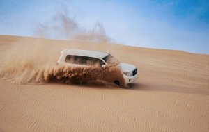 Desert Safaris Abu Dhabi | Top rated best priced Safari Operator